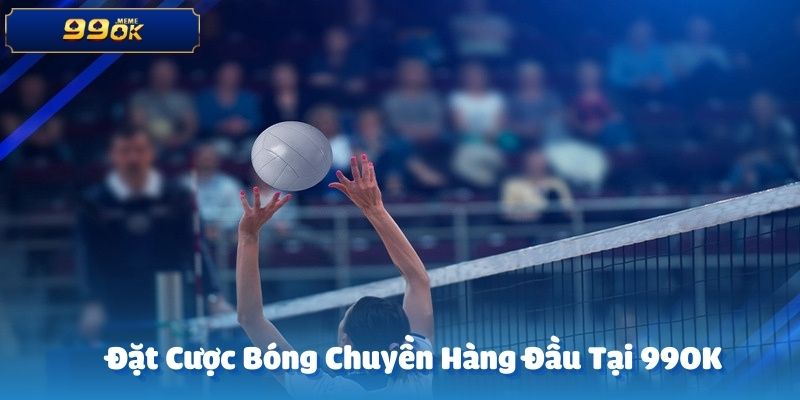 Cá cược bóng chuyền tại 99OK đang trở thành lựa chọn hàng đầu