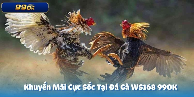  Sảnh đá gà WS168 tại 99OK thường xuyên triển khai các chương trình khuyến mãi