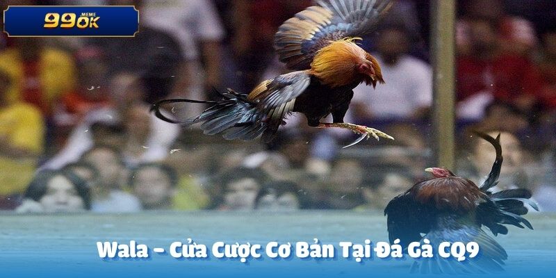 Wala là một trong những cửa đặt cơ bản tại trường đấu đá gà CQ9