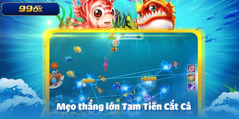 Mẹo chinh phục Tam tiên cắt cá thành công