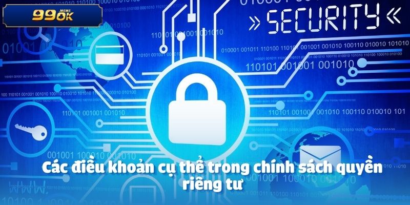 Các điều khoản cụ thể trong chính sách quyền riêng tư